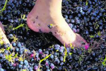 GrapeStomp
