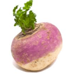 Screen Shot 2013-01-10 at 7.30.10 AM