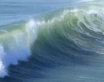 Wave