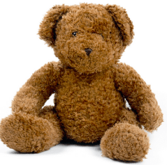 teddy bear