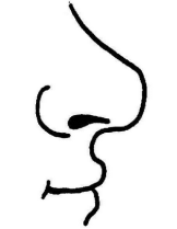 nose