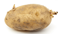 Screen Shot 2020-01-29 at 2.43.57 PM